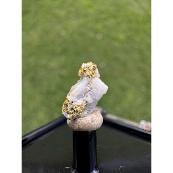 Gold on Quartz - Natural California Gold Specimen in Perky Display Box - #13 - Picture 9 of 9